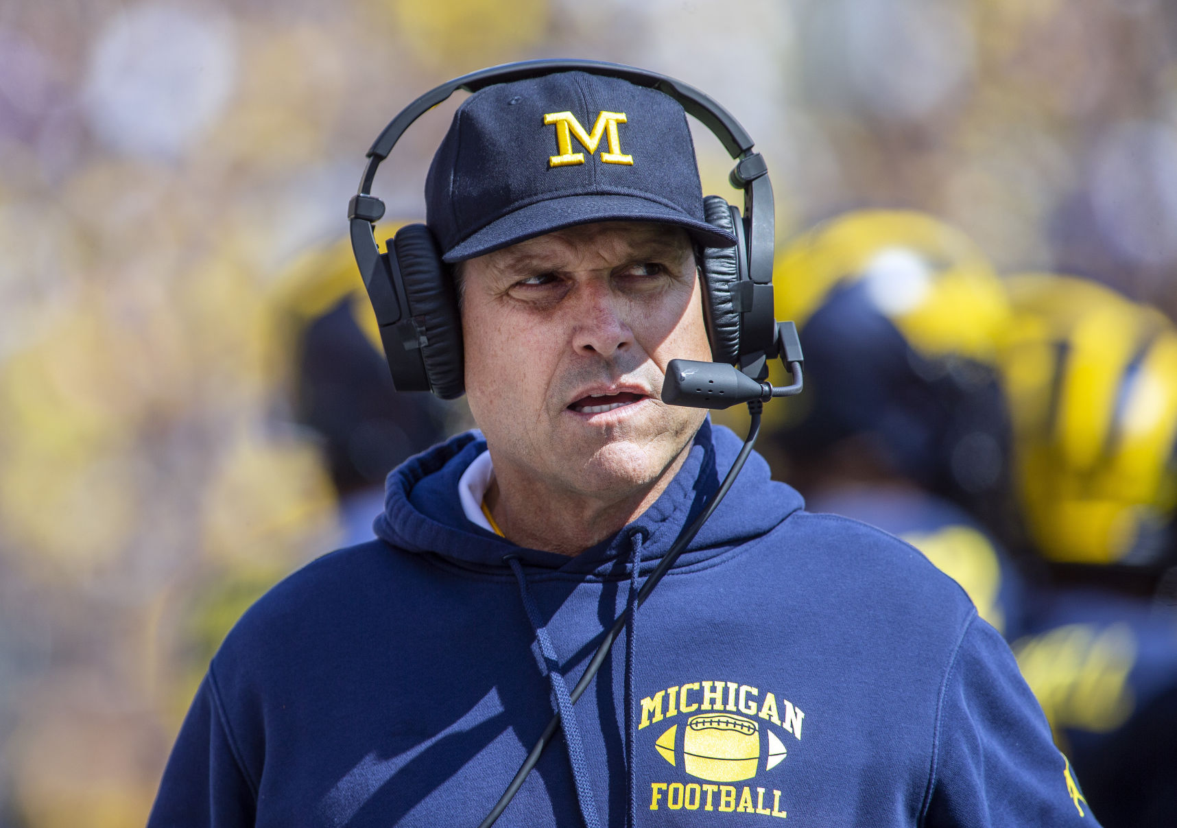 Jim Harbaugh photo